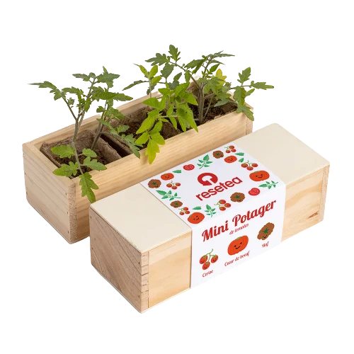 Miniature 7